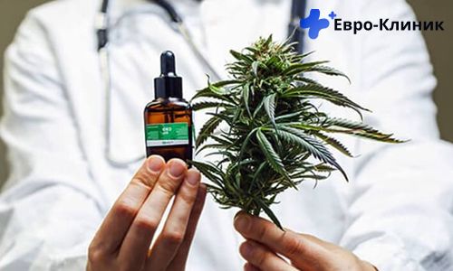 Лекарственный каннабис Врач держит в руках капли и пучек каннабиса